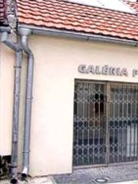Galéria Prokop, Pezinok